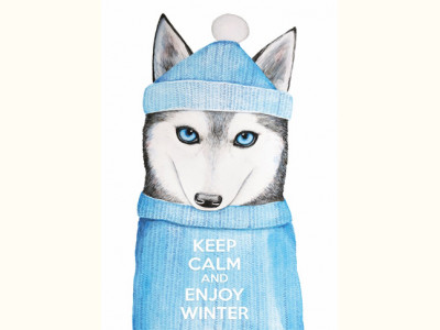 Keep calm and enjoy winter